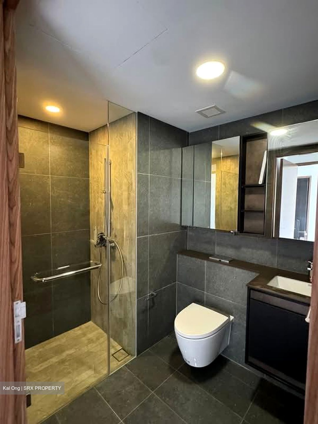 View at Kismis (D21), Apartment #570458141